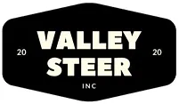Valleysteer Logo